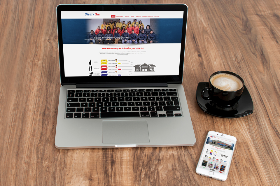 distrisur_responsive.jpg